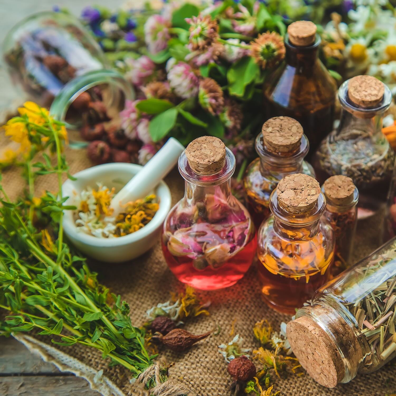 Vente de produits d'aromathérapie, Pharmacie Sainte Catherine, Longuenesse, Arques, Saint-Omer